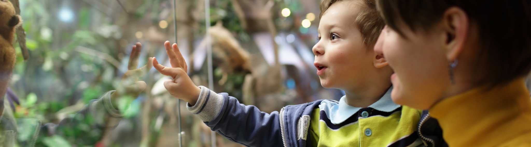 Planes para hacer con tus hijos en vacaciones
