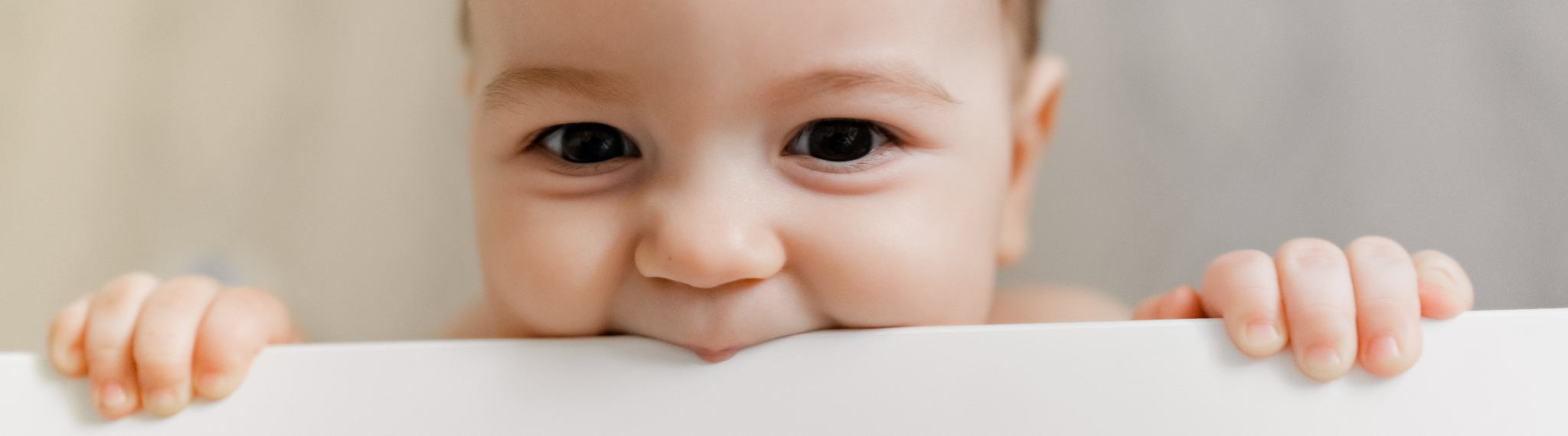 Los dientes de leche