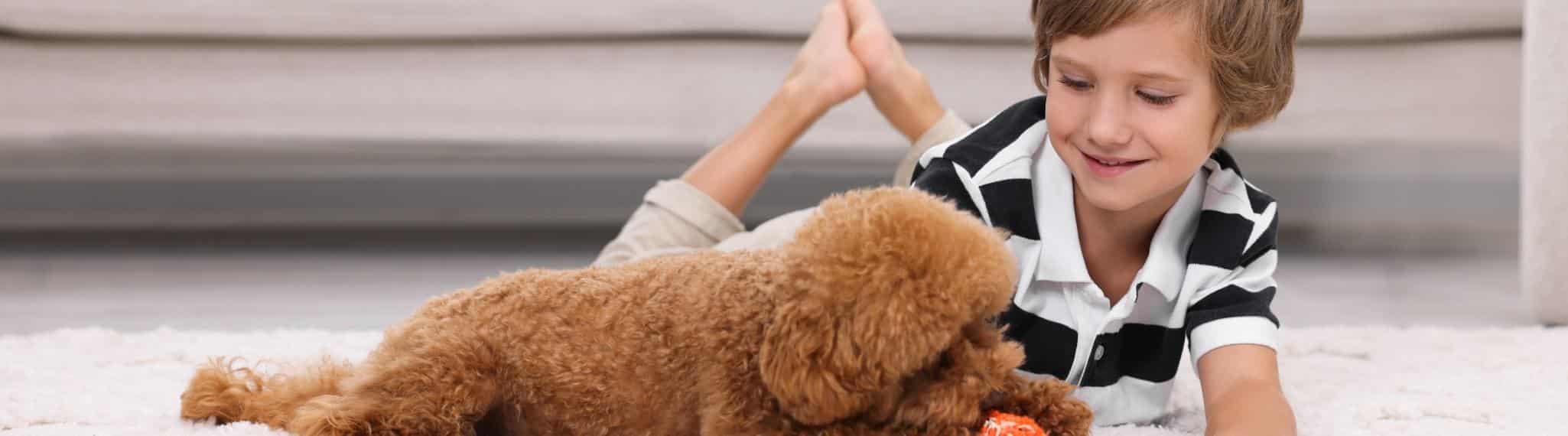 ¿Cómo ayudan las mascotas al desarrollo de niños?